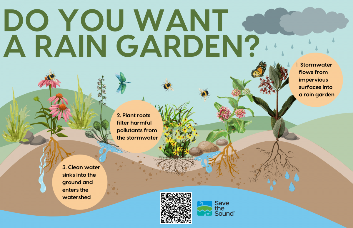 Do you want a Rain Garden?